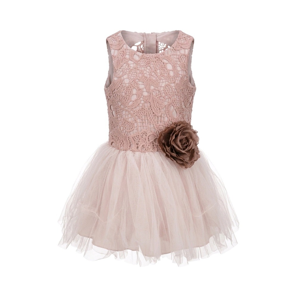 Pippa & Julie Baby Girls Pink Lace Tulle Tutu Dress‎ with Flower Accent 18M